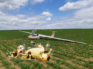 rencontres de vol à voile des grandes ecoles aéronautiques